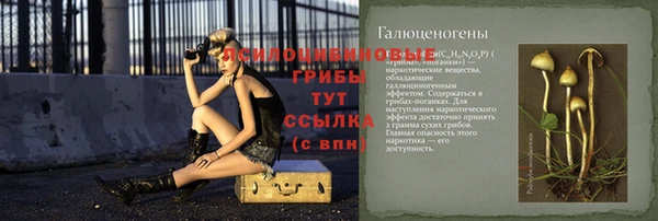 2c-b Магас