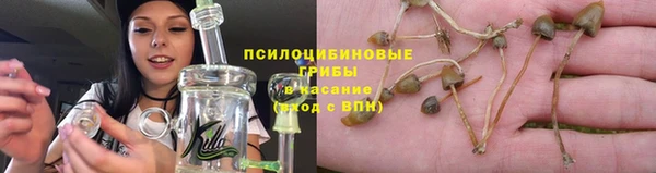 прущая мука Лиски