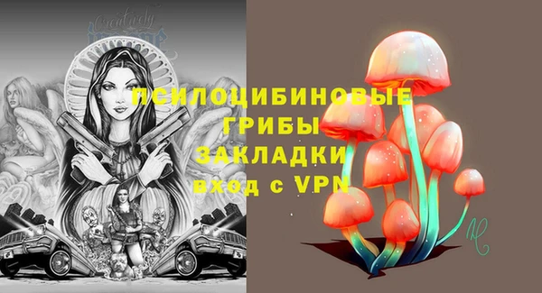 мяу мяу мука Магадан