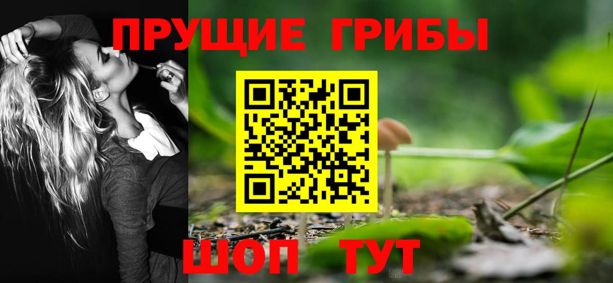 Дзержинский  сколько стоит  Вход с VPN  Псилоцибиновые грибы Magic Shrooms 